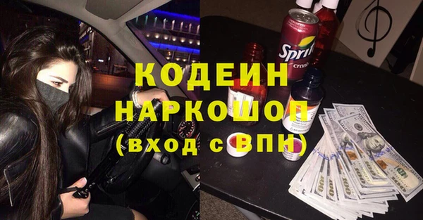 прущие грибы Алагир