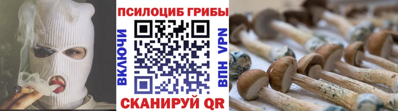 Галлюциногенные грибы мухоморы  магазин продажи наркотиков  Чебаркуль 