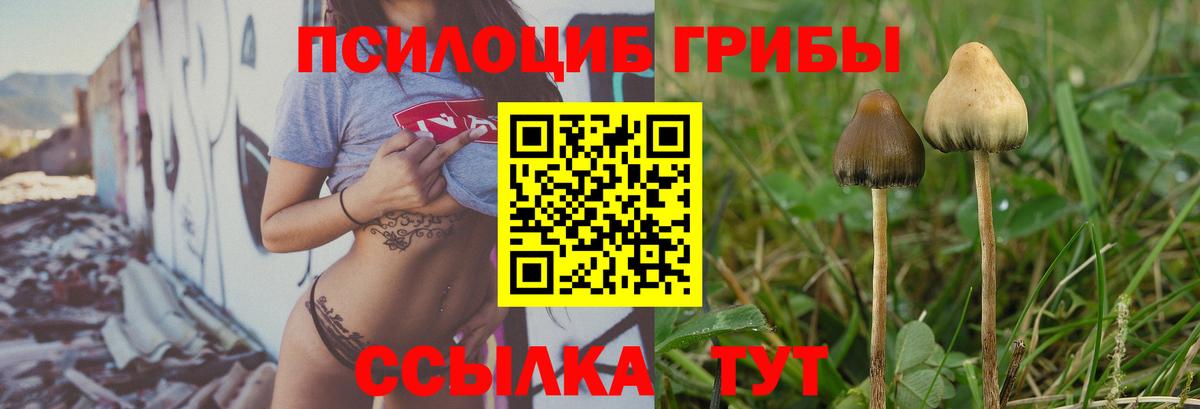 наркота  Вход с VPN  Чебаркуль  Псилоцибиновые грибы Cubensis  Галлюциногенные грибы Psilocybine cubensis 