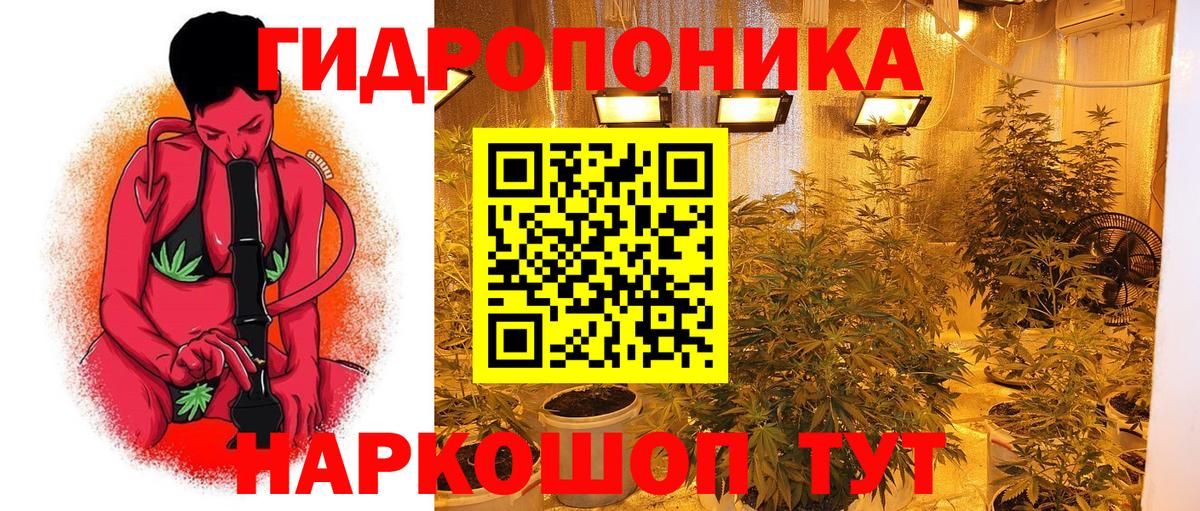 Шишки марихуана семена Чебаркуль